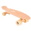 Penny Board Australia Original - POSTCARD COASTAL 22