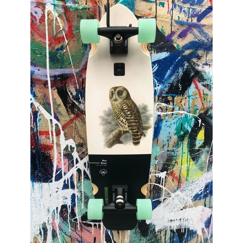 Круїзер Globe Wave Blazer 2022 Hoot Owl
