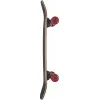 Круїзер Globe 2022 Disaster Snakes 31.5'' 80 см