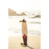 Лонгборд Arbor Performance Groundswell Fish 37'' дюймів