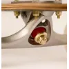 Лонгборд Arbor Skateboards Solstice Axis 37