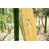 Лонгборд Bamboo Axis 40