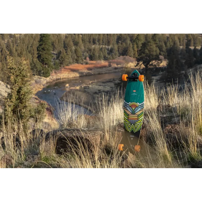 Лонгборд пінтейл Arbor Artist Fish 37