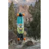 Лонгборд пінтейл Arbor Artist Fish 37