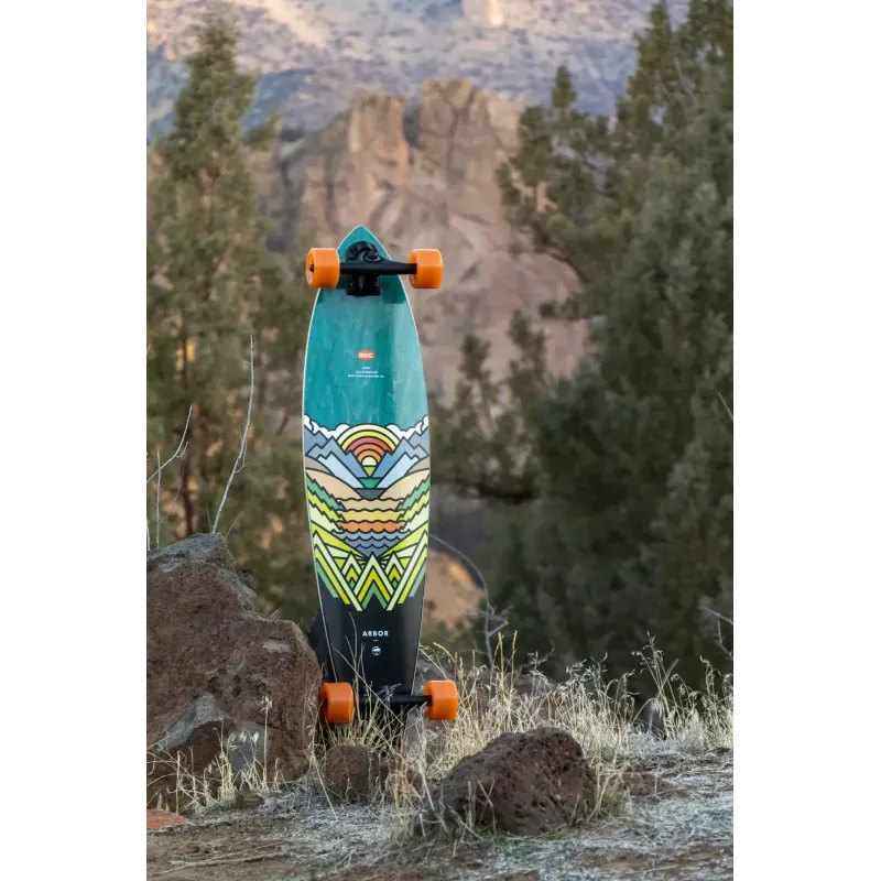 Лонгборд пінтейл Arbor Artist Fish 37