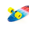 Пенні борд Fish Skateboards Print