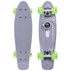 Пенні борд Fish Skateboards з світящими колесами