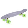 Пенні борд Fish Skateboards з світящими колесами