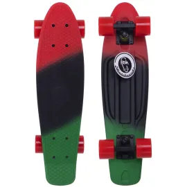 Пенні борд Fish Skateboards матова поверхня