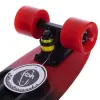 Пенні борд Fish Skateboards матова поверхня