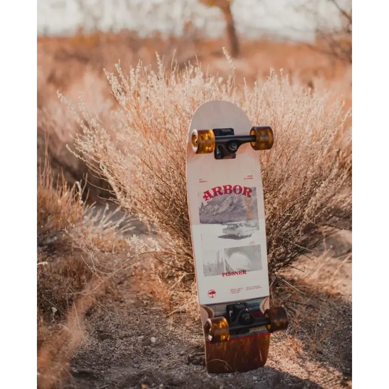 Скейт круізер Arbor Photo Pilsner 28.75
