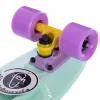 Скейт пенні борд Fish Skateboards