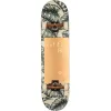 Скейтборд Globe G2 Mod Log - Hurricane Leaves 8.25