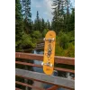 Скейтборд трюковий Arbor Whiskey - Upcycle 7.75